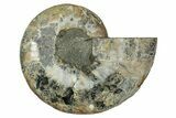 Cut & Polished Ammonite Fossil (Half) - Madagascar #345647-1
